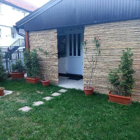 Orhideja